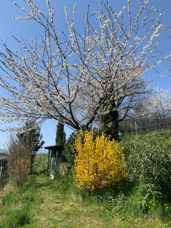 Appartamento Tiemi Coldrerio Bagian luar foto