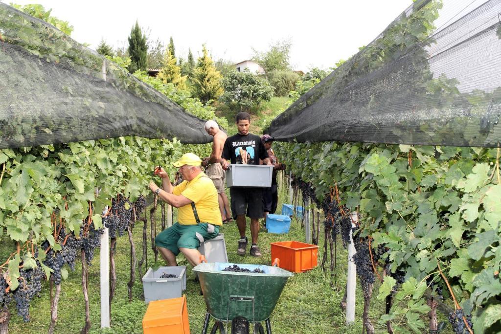 Appartamento Tiemi Coldrerio Bagian luar foto